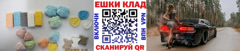 Купить закладки  Терек  Ecstasy Punisher 