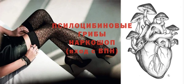 Альфа ПВП Пестово