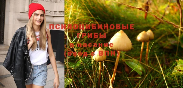 прущая мука Покачи