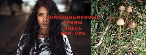 прущая мука Покачи