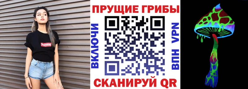Галлюциногенные грибы MAGIC MUSHROOMS  Купить закладки  Терек 