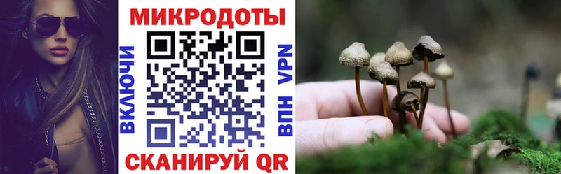 Псилоцибиновые грибы ЛСД Терек