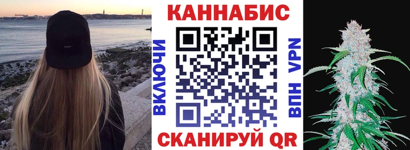 Купить  Терек  Каннабис индика 